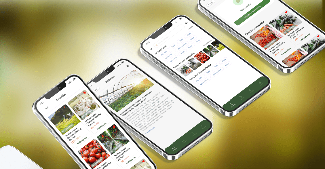 portfolio